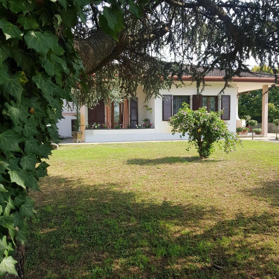 B&B Cedro Argentato Legnago Esterno foto