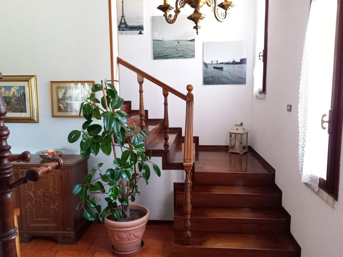 B&B Cedro Argentato Legnago Esterno foto