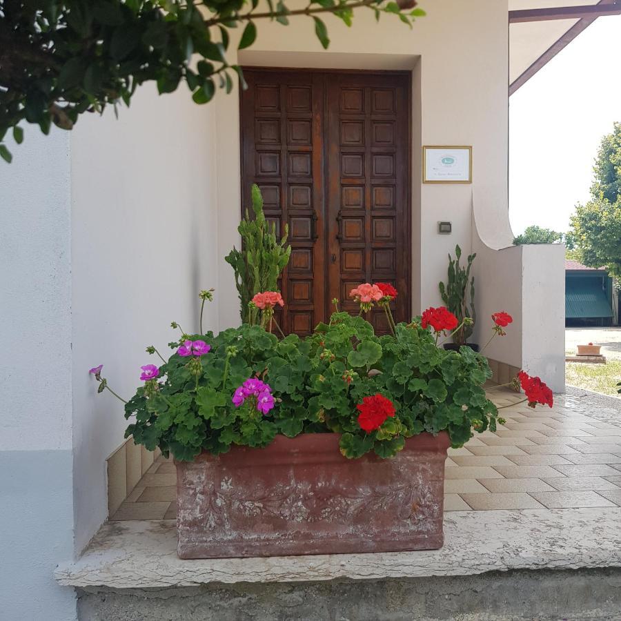 B&B Cedro Argentato Legnago Esterno foto